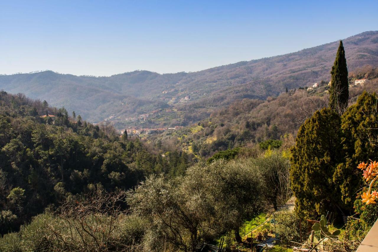 Agriturismo A Ca Vegia Calice Ligure Kültér fotó